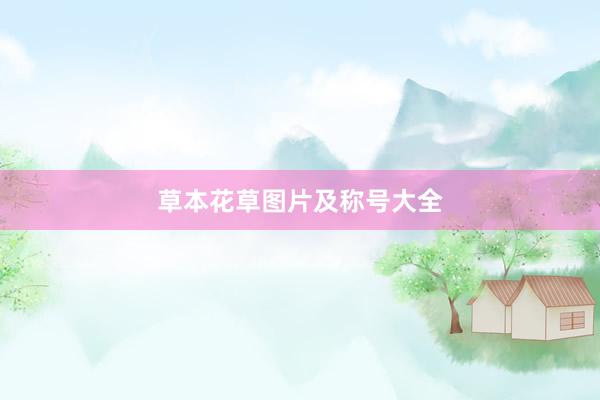 草本花草图片及称号大全