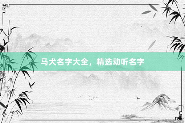 马犬名字大全，精选动听名字
